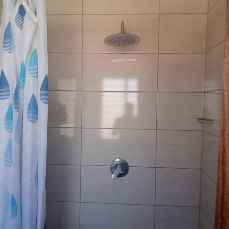 1-bedroom-flat-for-rent-in-salama-park-big-5