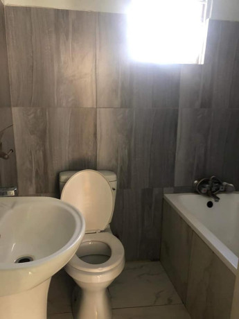 3-bedroom-flat-for-rent-in-munali-big-4