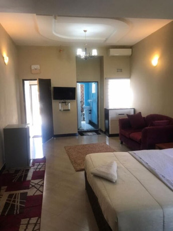 1-bedroom-furnished-flat-for-rent-in-lilayi-big-2