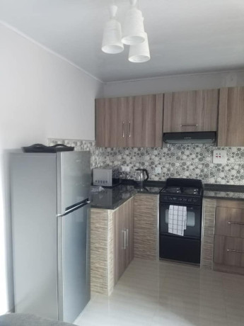 1-bedroom-fully-furnished-apartment-for-rent-in-ibex-hill-big-8