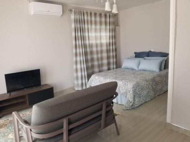 1-bedroom-fully-furnished-flat-for-rent-in-ibex-hill-big-4