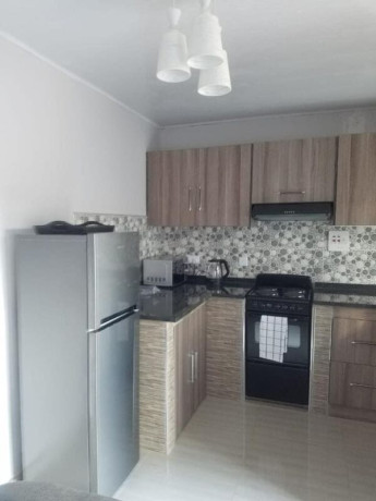 1-bedroom-fully-furnished-flat-for-rent-in-ibex-hill-big-3