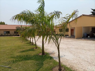 3-bedroom-house-for-rent-in-chudleigh