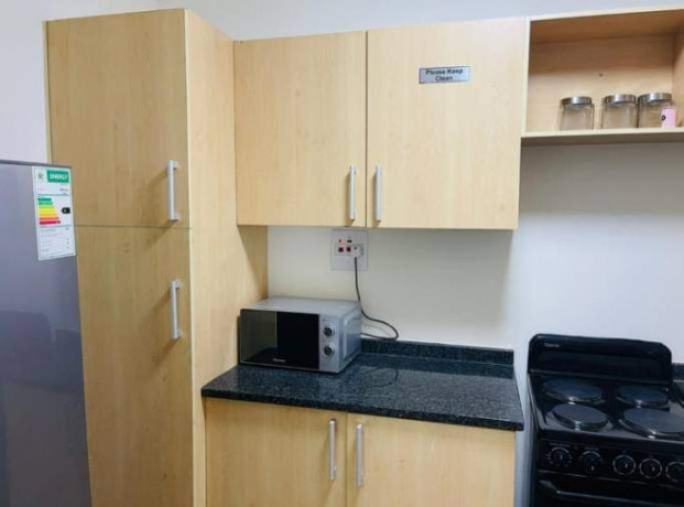 2-bedroom-fully-furnished-apartment-for-rent-in-foxdale-residential-big-2