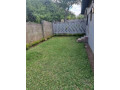 2-bedroom-house-for-rent-in-roma-park-small-7
