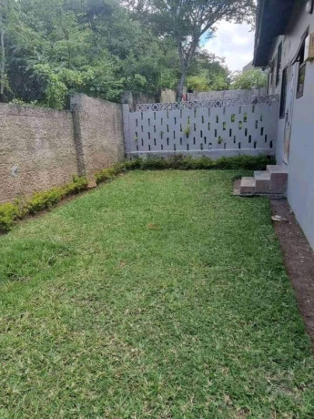 2-bedroom-house-for-rent-in-roma-park-big-7