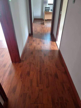 2-bedroom-house-for-rent-in-roma-park-big-4