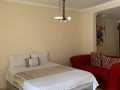 fully-furnished-apartments-for-rent-small-2