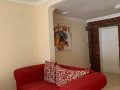 fully-furnished-apartments-for-rent-small-6