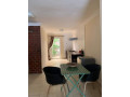 fully-furnished-apartments-for-rent-small-0