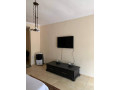 fully-furnished-apartments-for-rent-small-1