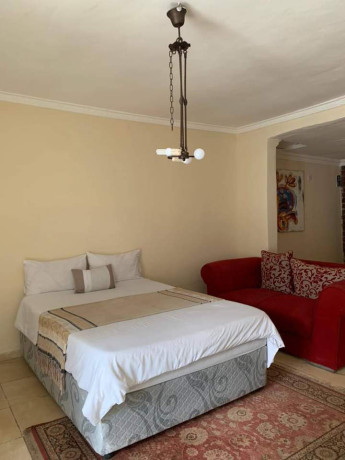 fully-furnished-apartments-for-rent-big-2