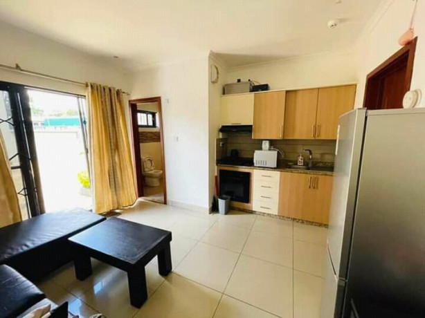 2-bedroom-fully-furnished-flats-for-rent-in-rhodespark-big-1