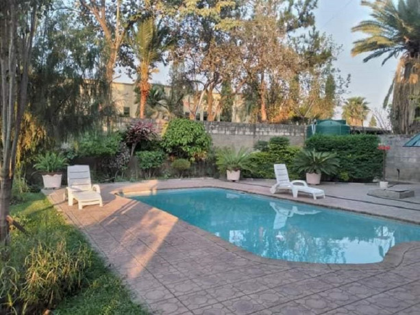 1-bedroom-furnished-apartment-for-rent-in-mass-media-big-0