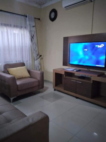 1-bedroom-furnished-apartment-for-rent-in-mass-media-big-2