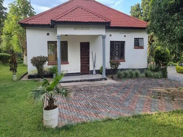 2-bedroom-house-for-rent-in-ibex-hill-big-0
