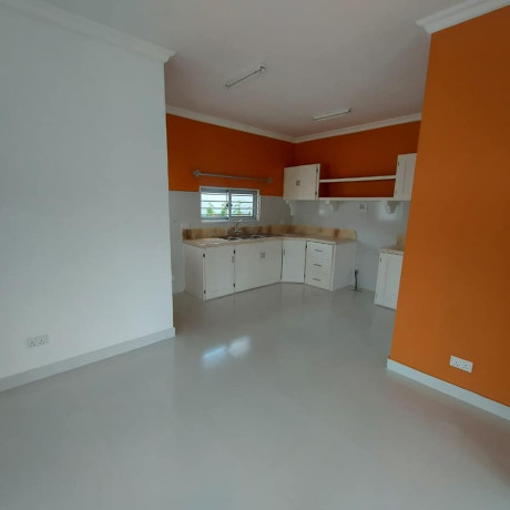 3-bedroom-townhouse-for-rent-in-ibex-hill-big-4