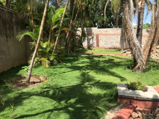 property-for-rent-in-olympia-park-big-6