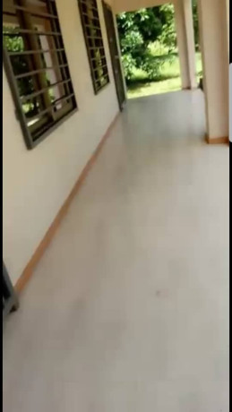 1-bedroom-fully-furnished-apartment-for-rent-in-lilayi-big-4