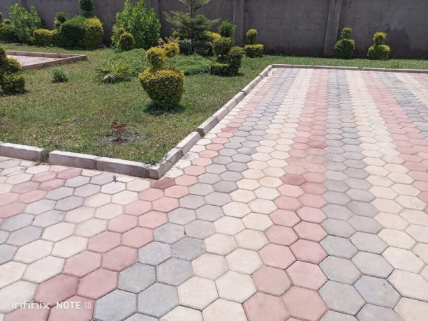 2-bedroom-flat-for-rent-in-lilayi-big-3