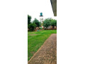3-bedroom-house-for-rent-in-woodlands-chalala-small-2