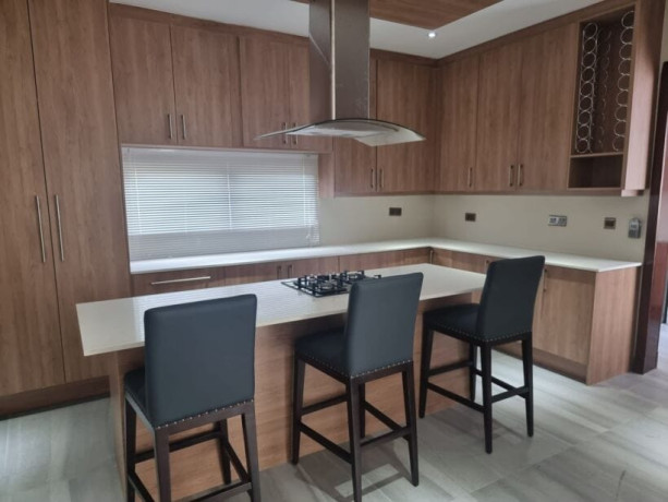 4-bedroom-fully-furnished-apartment-for-rent-in-roma-park-big-4