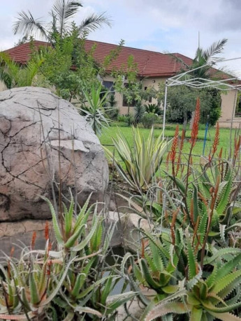3-bedroom-house-for-rent-in-ngwerere-big-4