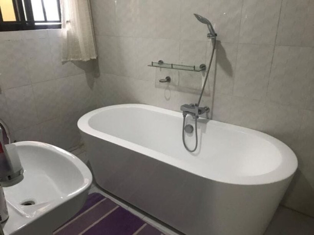 4-bedroom-fully-furnished-apartment-for-rent-in-ibex-meanwood-big-6