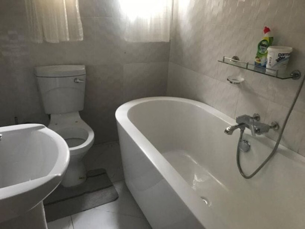 4-bedroom-fully-furnished-apartment-for-rent-in-ibex-meanwood-big-8