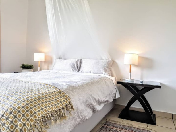 2-bedroom-fully-furnished-apartment-for-rent-in-olympia-big-5
