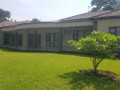 4-bedroom-house-for-rent-in-eureka-park-small-5