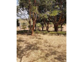 plots-for-sale-in-roma-small-2