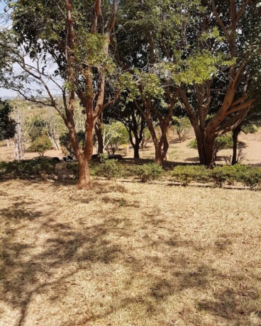 plots-for-sale-in-roma-big-2