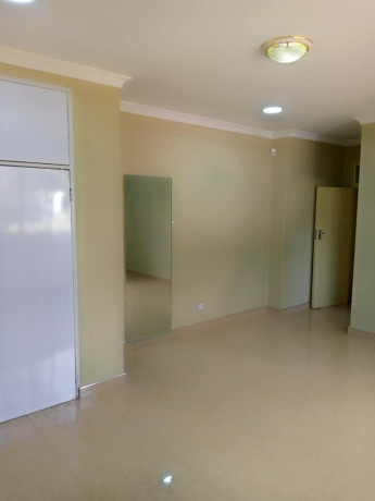 4-bedroom-house-for-rent-in-jesmondine-big-2