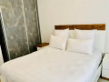 1-bedroom-fully-furnished-apartment-for-rent-in-longacres-small-6