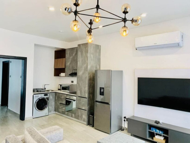 1-bedroom-fully-furnished-apartment-for-rent-in-longacres-big-3