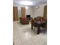 2-bedroom-furnished-apartment-for-rent-in-roma-park-small-8