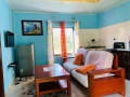 1-bedroom-furnished-apartment-for-rent-in-state-lodge-small-4