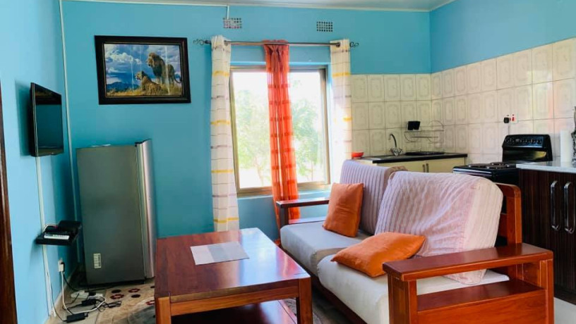 1-bedroom-furnished-apartment-for-rent-in-state-lodge-big-4