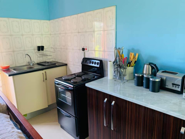 1-bedroom-furnished-apartment-for-rent-in-state-lodge-big-7