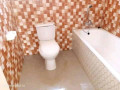 1-bedroom-flat-for-rent-in-chalala-small-4