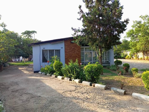 3-bedroom-house-for-rent-in-new-avondale-big-4
