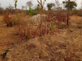 plot-for-sale-in-livingstone-small-1