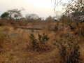 plot-for-sale-in-livingstone-small-3