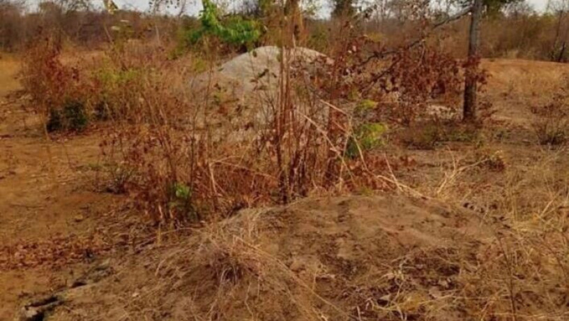 plot-for-sale-in-livingstone-big-1