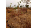 plot-for-sale-in-livingstone-small-1