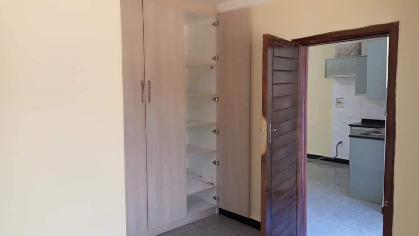 2-bedroom-flat-for-rent-in-chalala-big-3