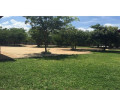 2-bedroom-fully-furnished-apartment-for-rent-in-new-kasama-small-7