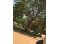 2-bedroom-fully-furnished-apartment-for-rent-in-new-kasama-small-6