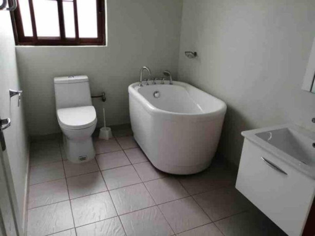 2-bedroom-fully-furnished-apartment-for-rent-in-new-kasama-big-5